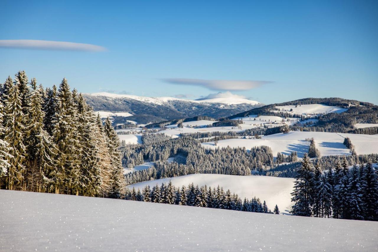 Der Almblick Hotell Strallegg Exteriör bild