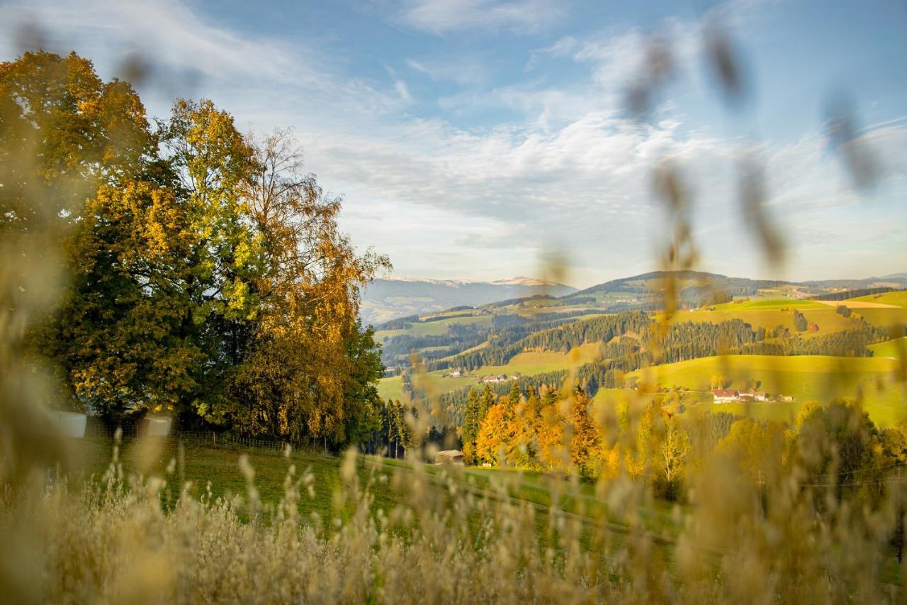 Der Almblick Hotell Strallegg Exteriör bild