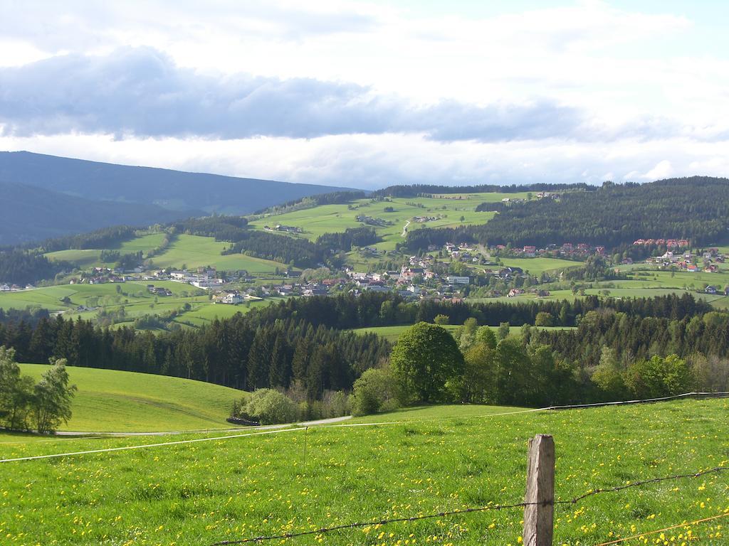 Der Almblick Hotell Strallegg Exteriör bild