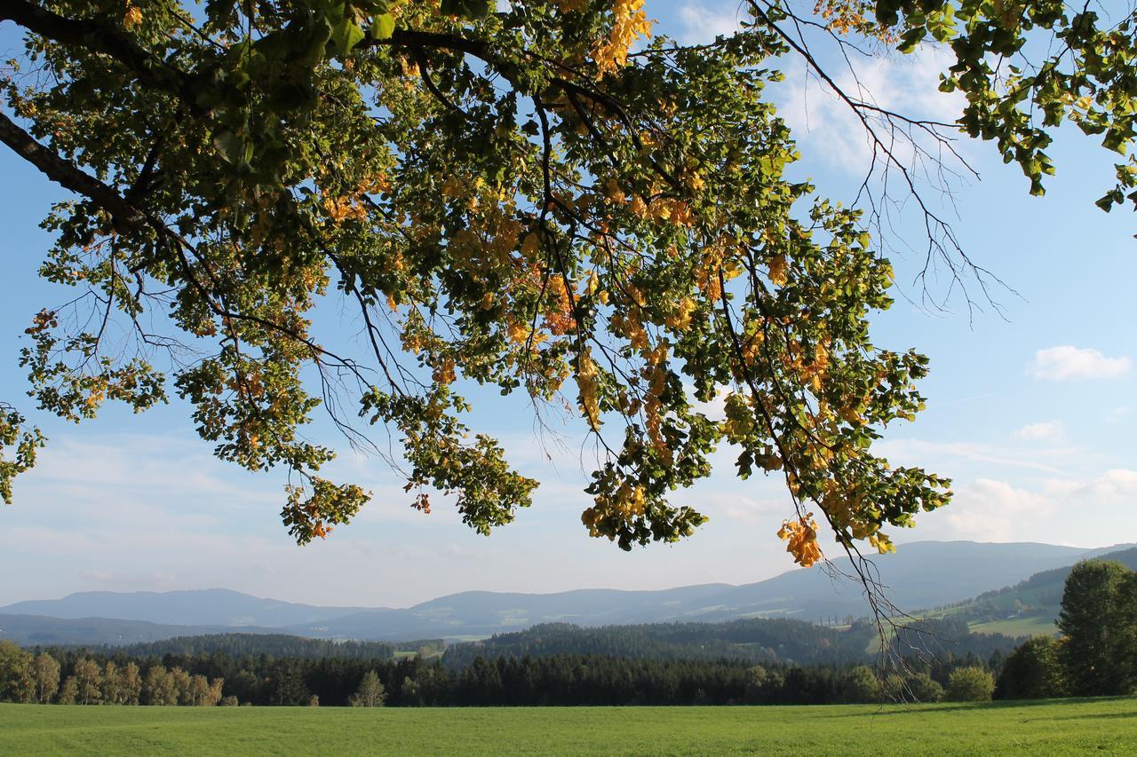 Der Almblick Hotell Strallegg Exteriör bild