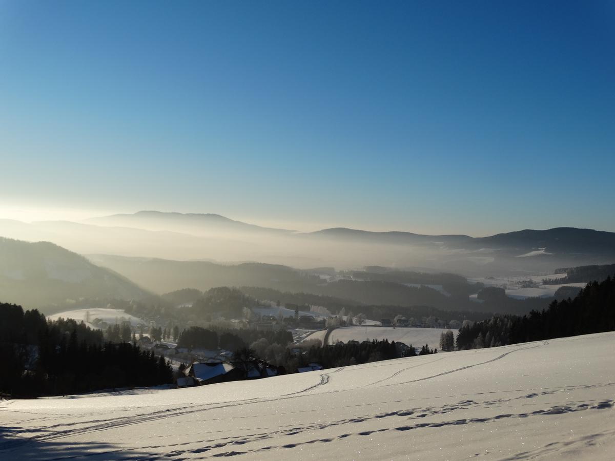Der Almblick Hotell Strallegg Exteriör bild